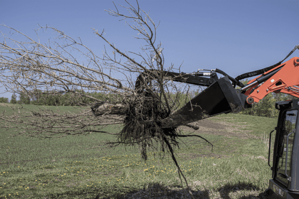 Stump Bucket Grapple LS4