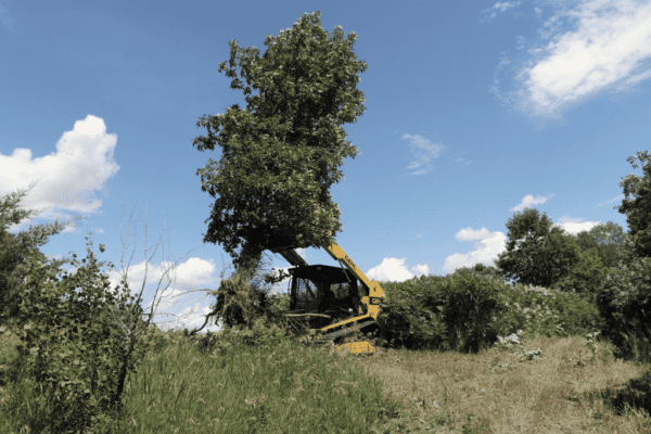 Tree Posst Puller LS4