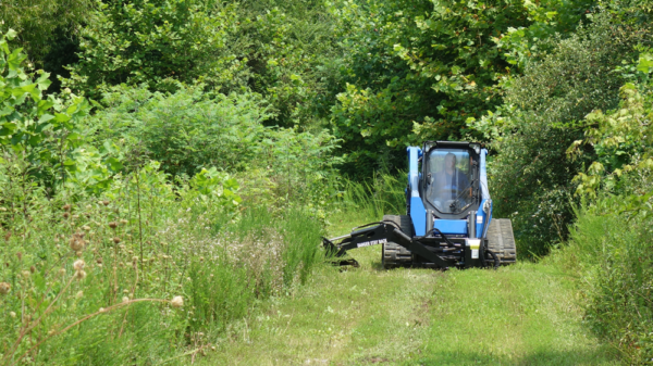 Blue Diamond Skid Steer Attachments Skid Steer Swing Arm Brush Cutter Gallery 4